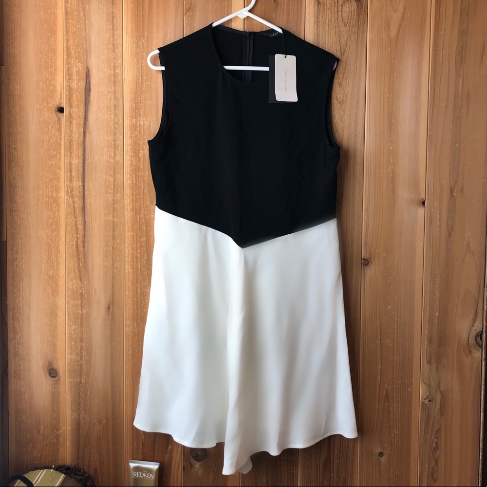 Zara Dress